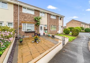 Photo 12- click for photo gallery